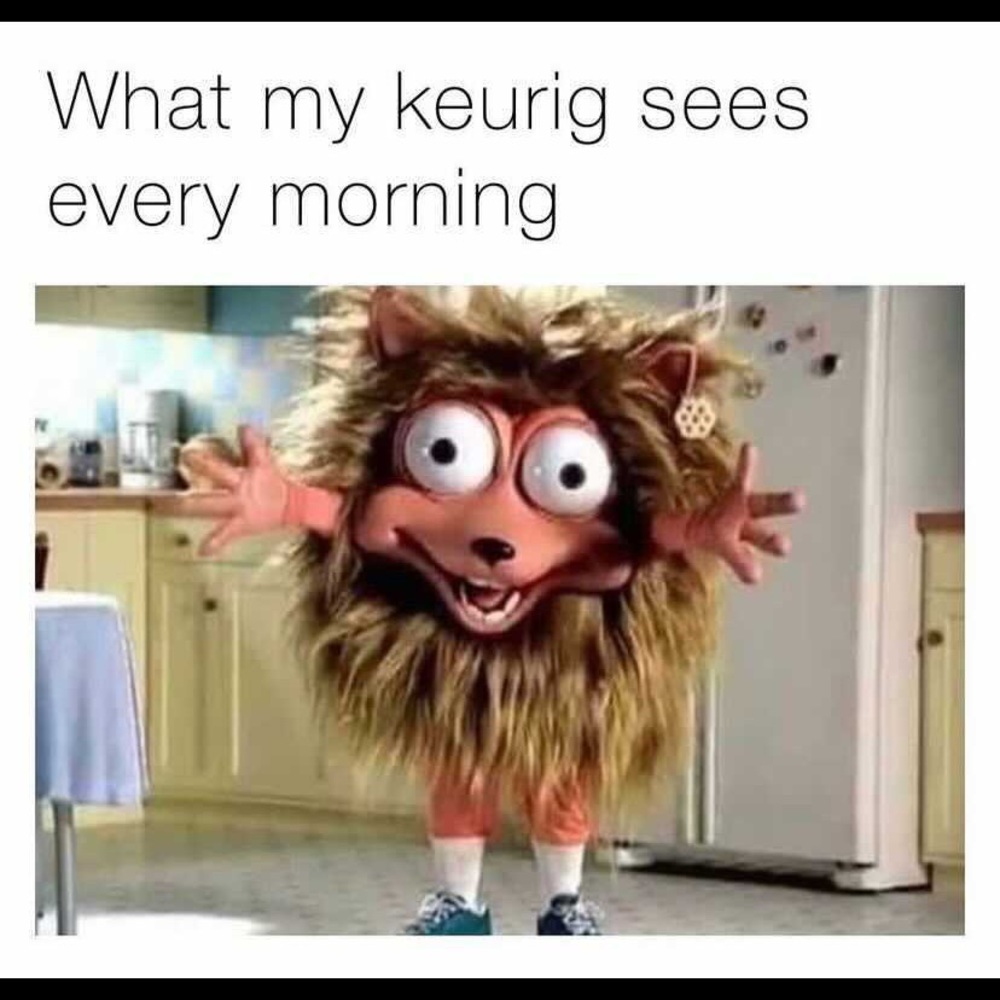 Meet your Posher, Hedy